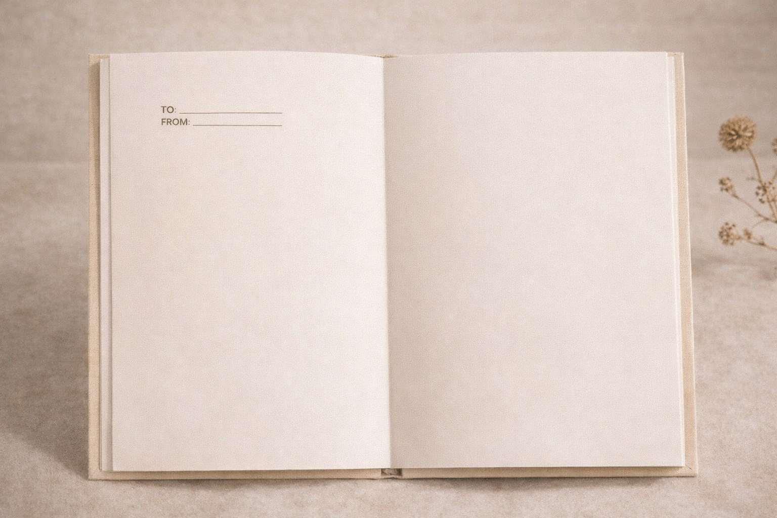 LETTERS TO THE BRIDE